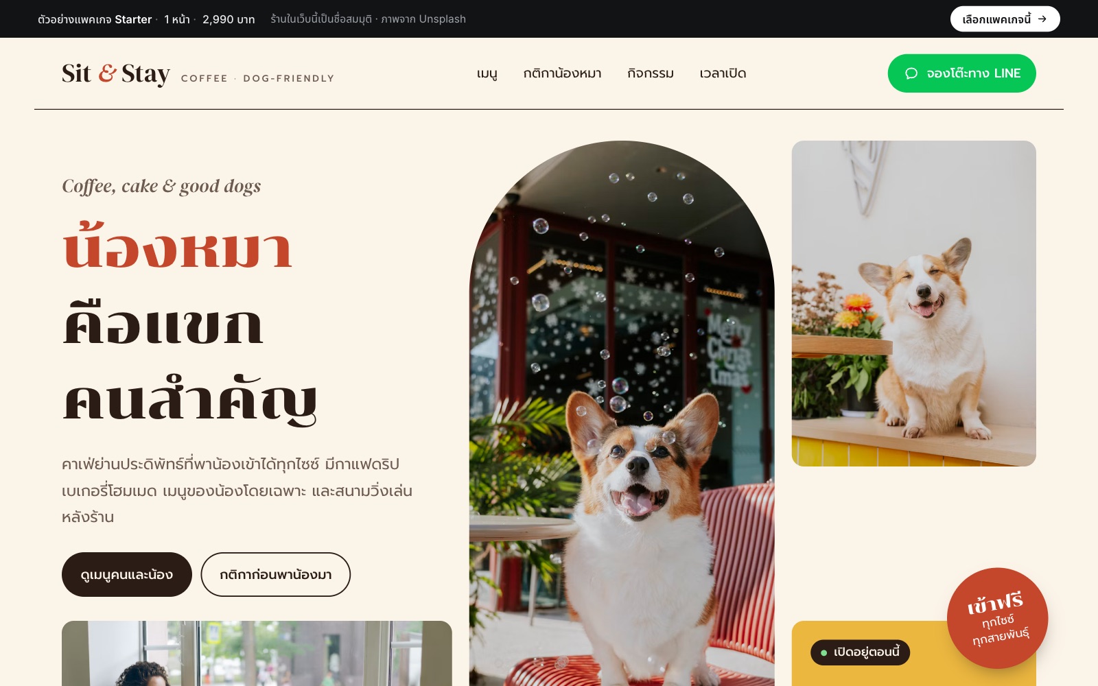 เว็บตัวอย่าง Sit & Stay · คาเฟ่หมา บนคอม