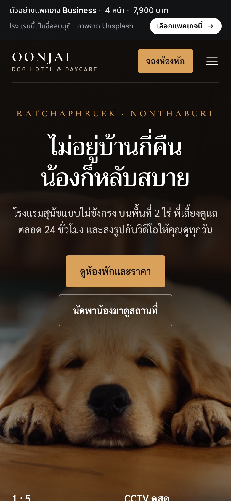 เว็บตัวอย่าง Oonjai · โรงแรมสุนัข & เดย์แคร์ บนมือถือ