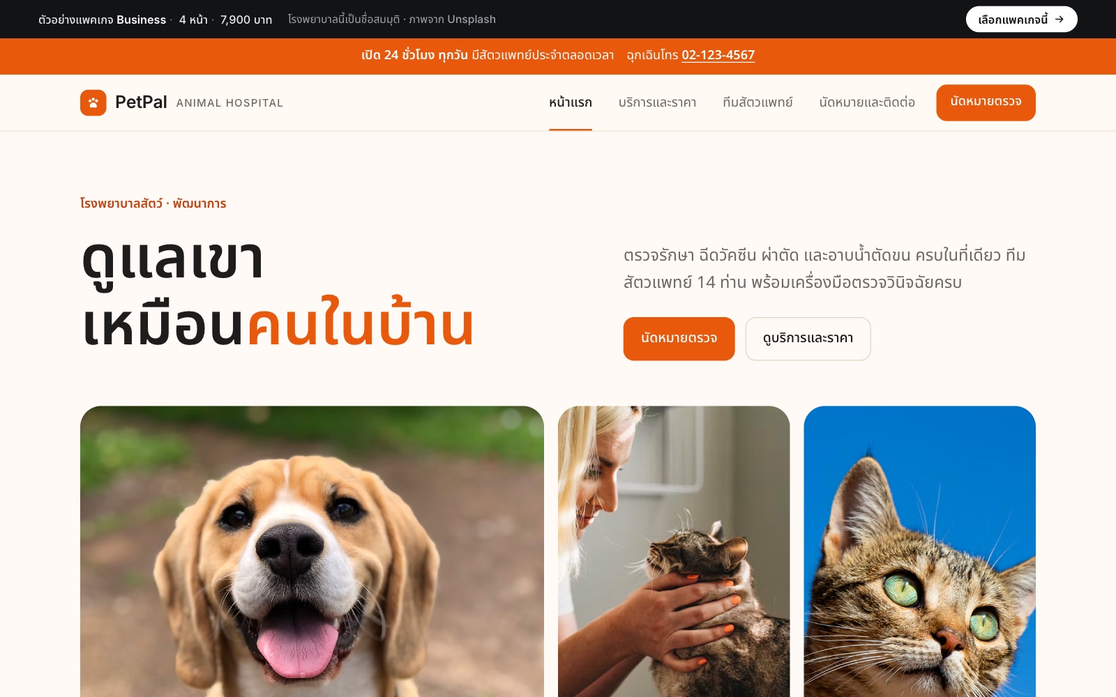 เว็บตัวอย่าง PetPal · โรงพยาบาลสัตว์ บนคอม