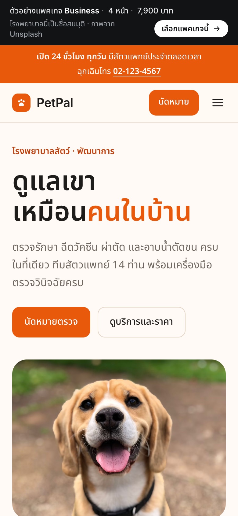 เว็บตัวอย่าง PetPal · โรงพยาบาลสัตว์ บนมือถือ
